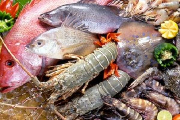 Safe dining tips for seafood in Halong